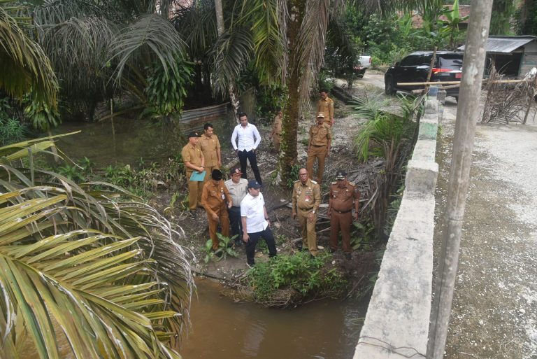 Pj Bupati Sarolangun Tinjau Jembatan Rusak di Pelawan, Instruksikan Perbaikan